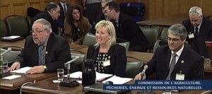 Enbridge-MRC-Vaudreuil-Soulanges-devant-commission-parlementaire-J-Lalonde-M-C_Nichols-et-G-L_Beaudoin-Photo-courtoisie