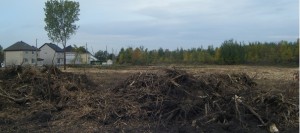 Deboisement-arbres-Chateauguay-secteur-boulevards-De-Gaulle-et-Kennedy-photo-courtoisie-publiee-par-INFOSuroit_com