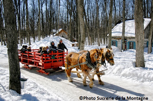 Sucrerie-de-la-Montagne-hiver-chevaux-caleche-cabane-erables-©Photo-Sucrerie-de-la-Montagne
