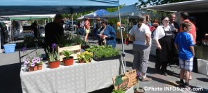 Marche-Fermier-Comte-Huntingdon-2014-exposants-rue-Dalhousie-Photo-INFOSuroit_com