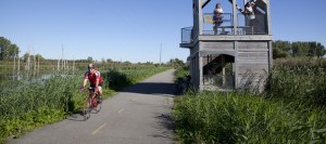 Piste-cyclable-Parc-regional-de-Beauharnois-Salaberry-Halte-du-Heron-Photo-courtoisie-MRC-BHS