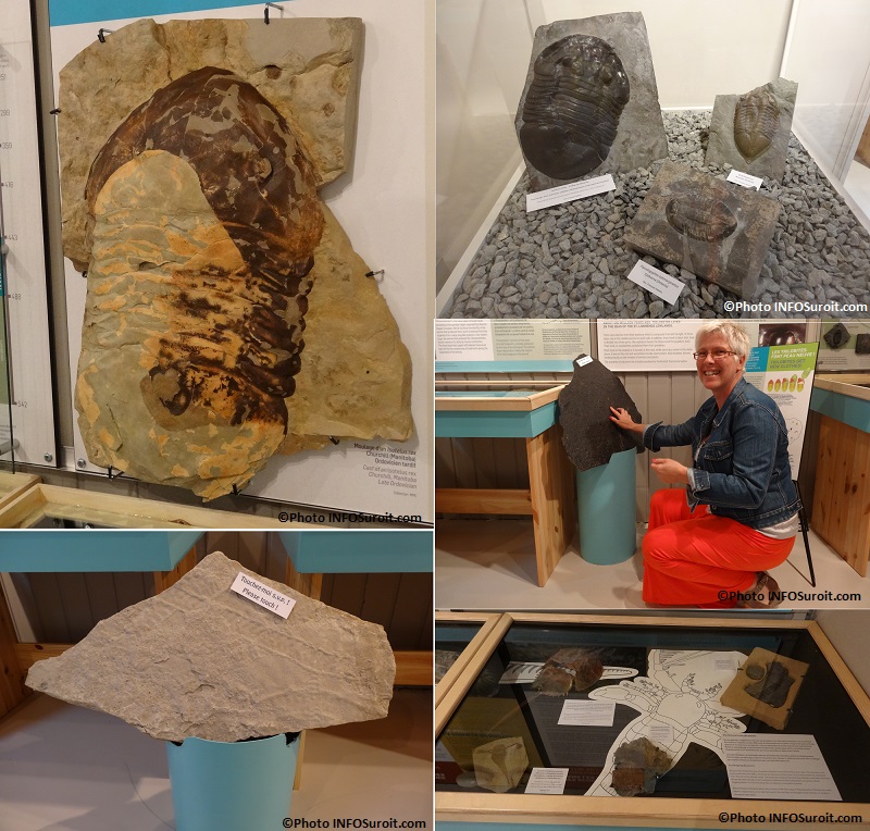 Exposition-le-Quebec-une-mer-de-fossiles-Musee-quebecois-archeologie-Pointe_Du_Buissons-photos-INFOSuroit_com