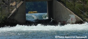 barrage-Hydro-Quebec-Pointe-du-Buisson-secteur-Melocheville-a-Beauharnois-Copyright-photo-Jeannine_Haineault-pour-INFOSuroit_com