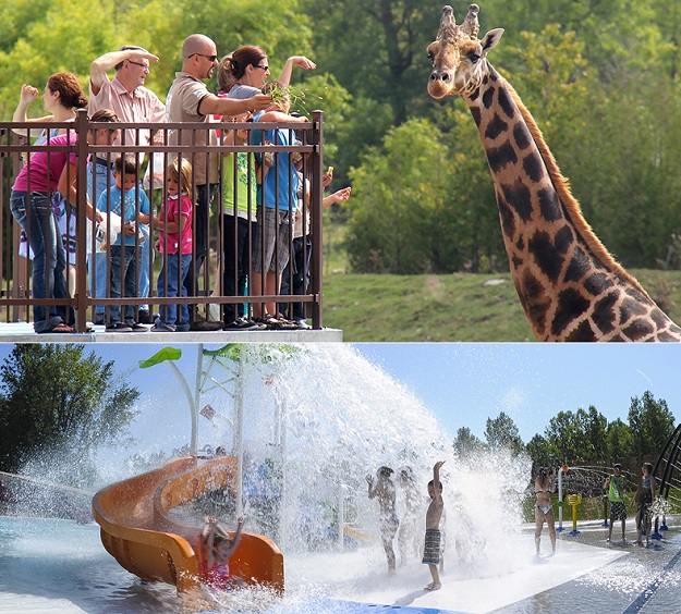 parc-Safari-a-Hemmingford-girafe-visiteurs-et-Aquaparc-Photos-courtoisie-Tourisme-Suroit-via-site-Web-ParcSafari