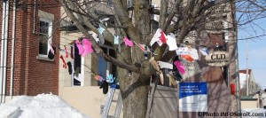 Chaine-de-mitaines-organismes-communautaires-MRC-Haut-Saint-Laurent-photo-INFOSuroit_com