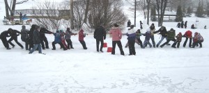 Journee d hiver des Amis du parc regional des Iles tir a la corde Photo courtoisie