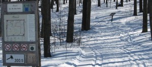 Sentiers de L Escapade du mont Rigaud le sentier Cle des bois avec neige Photo courtoisie