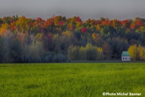 Concours photos MRC La maison sous les arbres Copyright Michel_Besner