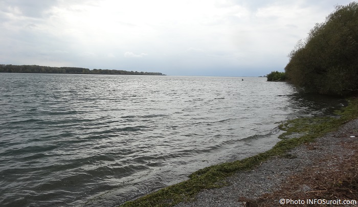 Fleuve-Saint-Laurent-Valleyfield-automne-2015-photo-INFOSuroit-com