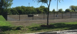 parc a chiens a Valleyfield avec roche tronc d arbre et lampadaires Photo INFOSuroit