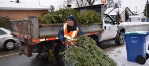 Collecte-sapins-Noel-a-Chateauguay-photo-courtoisie-publiee-par-INFOSuroit_com