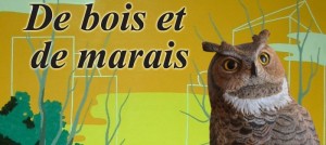 Exposition-collective-de-bois-et-de-marais-salle-Alfred-Langevin-photo-courtoisie-publiee-par-INFOSuroit_com