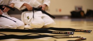 Karate-ceinture-noire-image-Pixabay-publiee-par-INFOSuroit_com
