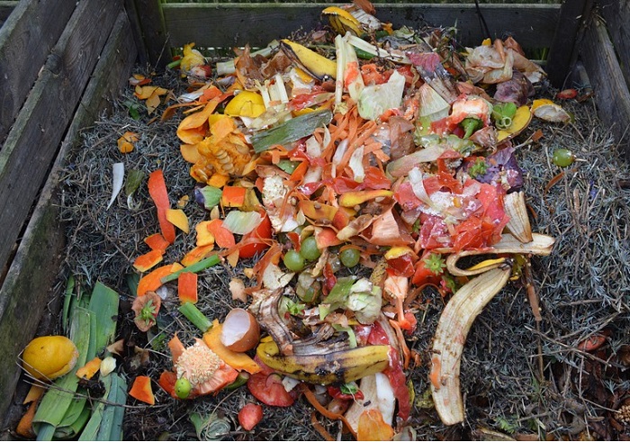 compostage-matieres-organiques-photo-pixabay-publiee-par-infosuroit-com