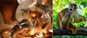 donjons-et-dragons-et-singe-photos-courtoisies-publiees-par-INFOSuroit-com