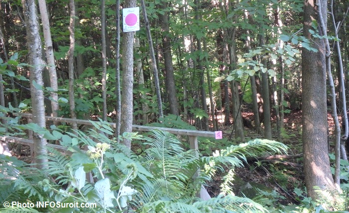 Sentiers de L_Escapade montagne Rigaud panneau couleur Photo INFOSuroit_com