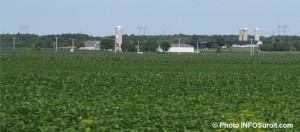 agriculture ferme MRC du Haut-Saint-Laurent Photo INFOSuroit_com