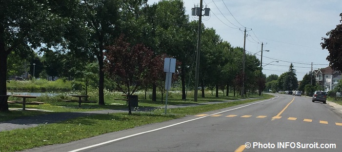 frenes-arbres-le-long-ancien-canal-de-beauharnois-a-valleyfield-photo-infosuroit_com