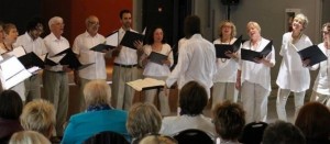 choeur-chorale-chants_de_coton-photo-chantsdecoton-courtoisie-muso