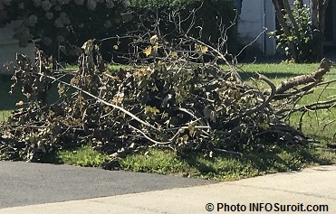 Collecte de feuilles mortes et de résidus verts : l'inscription est  obligatoire - Ville de Shawinigan