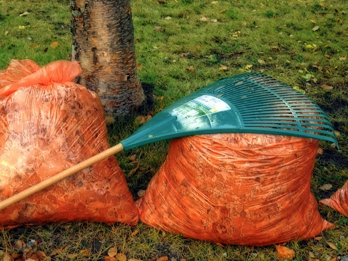 feuilles-mortes-automne-sacs-plastiques-orange-photo-pixabay-via-infosuroit
