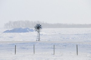agriculture-ferme-terre-agricole-hiver-girouette-photo-trfots-via-pixabay