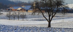 terre-agricole-hiber-ferme-chevaux-photo-publicdomainpictures-via-pixabay