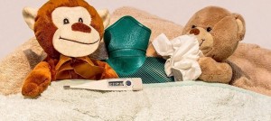 maladie-rhume-grippe-oursons-peluche-photo-myriams-fotos-via-pixabay