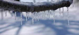 verglas glace hiver Photo ProperityMentr via Pixabay
