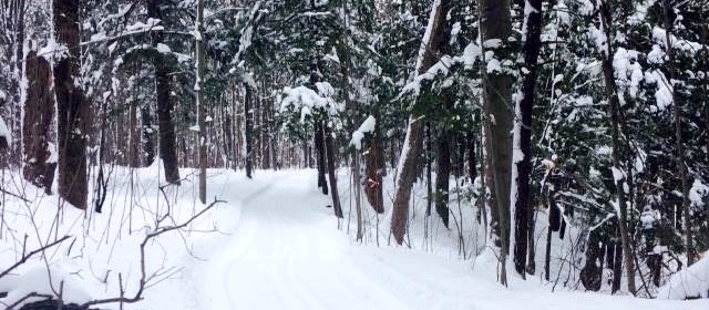 Bois_Robert hiver sentier arbres Photo courtoisie Ville Beauharnois