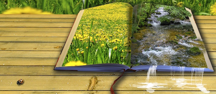 livre poesie litterature nature Photo RolandMey via Pixabay