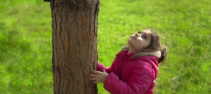 enfant arbre nature environnement Photo TunaOlger via Pixabay