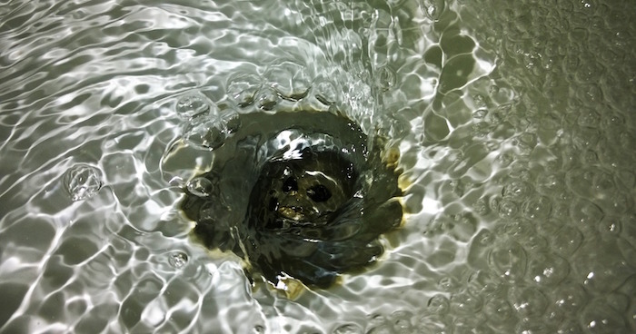 plomberie tuyau eau refoulement Photo Flegmatik95 via Pixabay