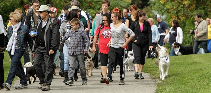 lutte au cancer activite pattes_de_l_espoir marcheurs avec chiens Photo via SCC