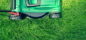 tondeuse a gazon electrique pelouse verte photo Pexels via Pixabay CC0 et INFOSuroit
