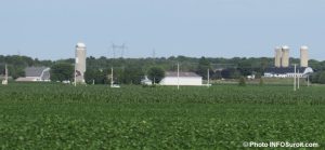 agriculture ferme MRC du Haut-Saint-Laurent Photo INFOSuroit