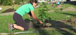 plantation a Valleyfield parc du Ruisseau 2017 avec citoyens Foret_Canada et CriVert photo courtoisie SdV