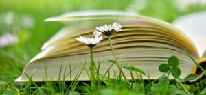 livre lecture saison estivale fleurs pelouse photo CongerDesign via Pixabay CC0 et INFOSuroit