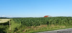 agriculture champ de mais terres agricoles region Vaudreuil-Dorion Photo INFOSuroit