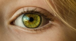 oeil vision look image photo Skitterphoto via Pixabay CC0 et INFOSuroit