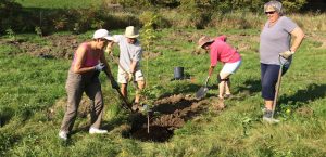 plantation arbre parc du Ruisseau a Valleyfield 2017 photo via SdV