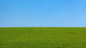 terre agricole champ ciel bleu photo PublicDomainPictures via Pixabay CC0 et INFOSuroit