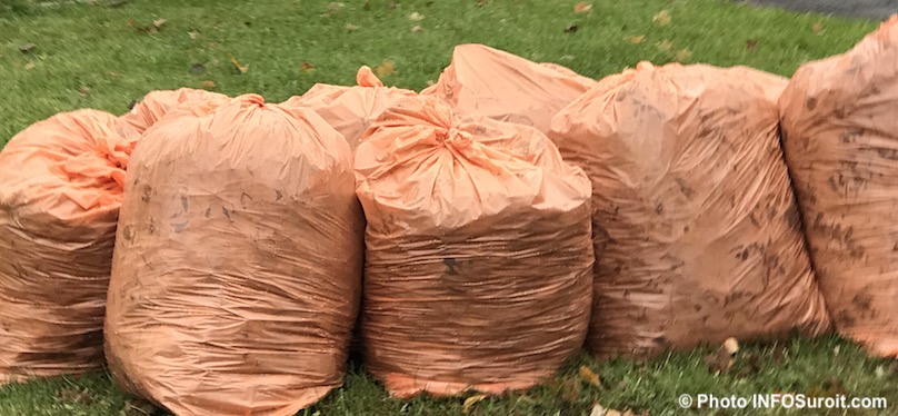 feuilles mortes sacs orange collecte residus verts photo INFOSuroit