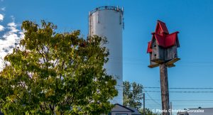 secteur Harwood Place Dumont Dorion tour_d_eau photo courtoisie Ville Vaudreuil-Dorion