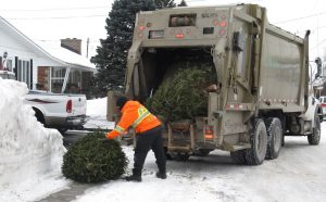 collecte sapins de noel recuperation environnement Ville de Valleyfield photo courtoisie SdV