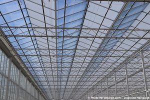 panneaux de toit usine TGOD cannabis Valleyfield fev2019 photo JHaineault INFOSuroit