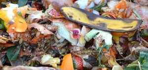 residus alimentaires compost environnement photo BenKerckx via Pixabay CC0 et INFOSuroit