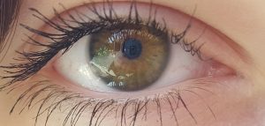 yeux oeil vue sondage opinion photo Bruloos via Pixabay CC0 et INFOSuroit