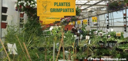 Centre des Moissons expo vente moisson en fleurs plantes photo INFOSuroit