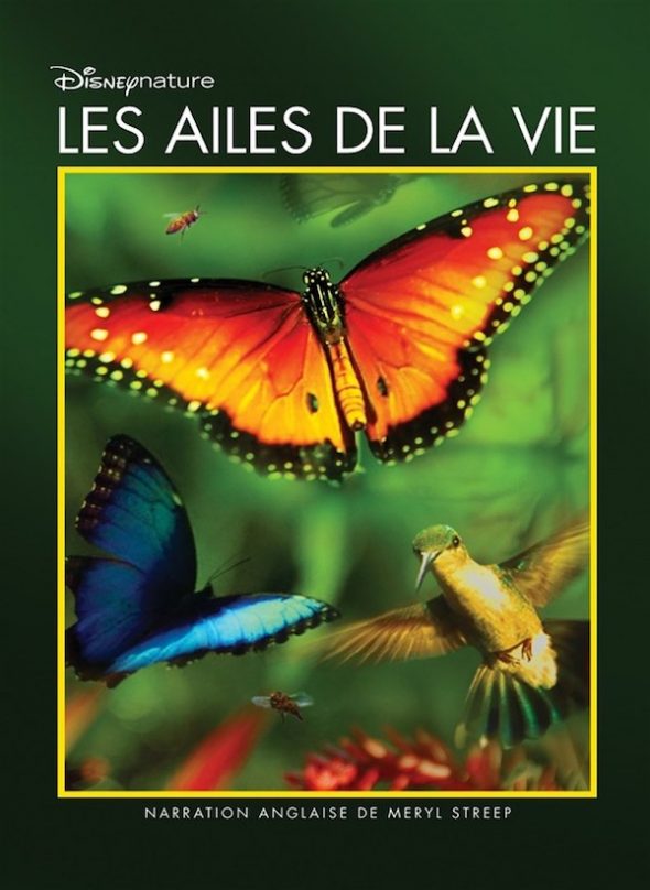 affiche film Les ailes de la vie de Disneynature